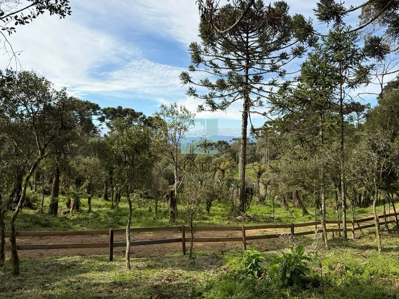 Sua Casa de Campo em Urubici: 13ª foto da galeria de imagens do imóvel
