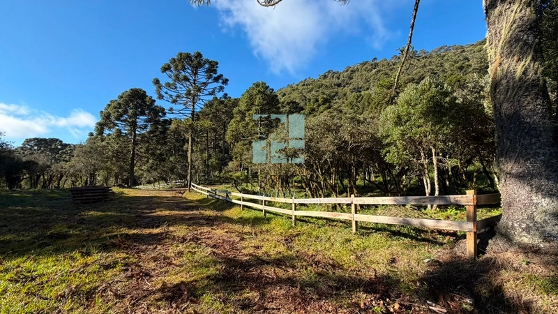 Sua Casa de Campo em Urubici: 12ª foto da galeria de imagens do imóvel