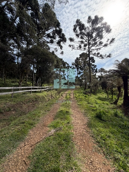 Sua Casa de Campo em Urubici: 12ª foto da galeria de imagens do imóvel