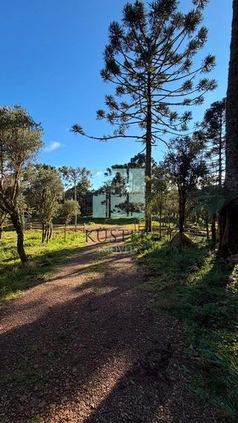 Sua Casa de Campo em Urubici: 8ª foto da galeria de imagens do imóvel