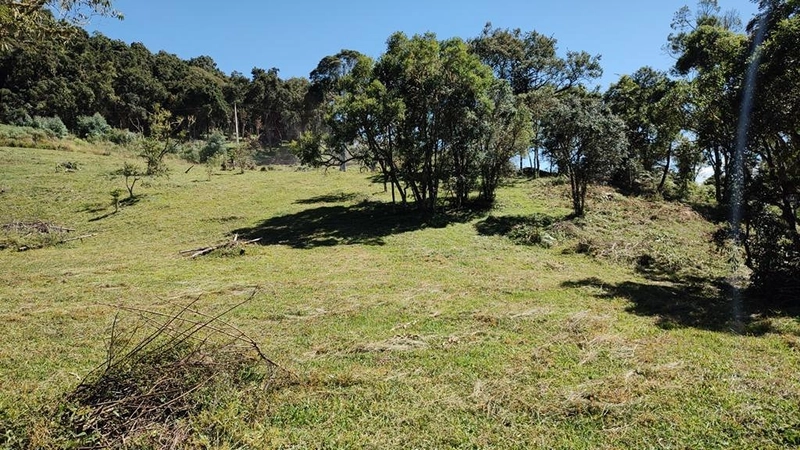 Terreno de Altitude: 16ª foto da galeria de imagens do imóvel
