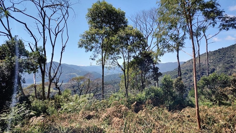 Terreno de Altitude: 3ª foto da galeria de imagens do imóvel