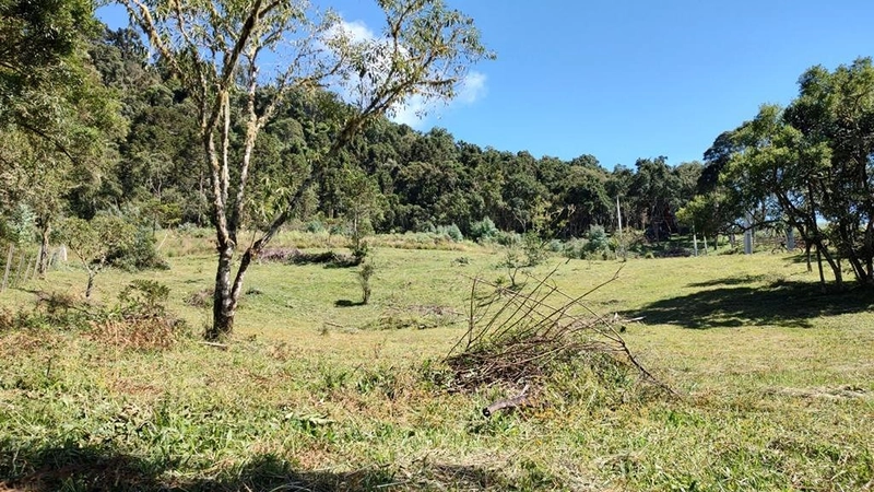 Terreno de Altitude: 14ª foto da galeria de imagens do imóvel