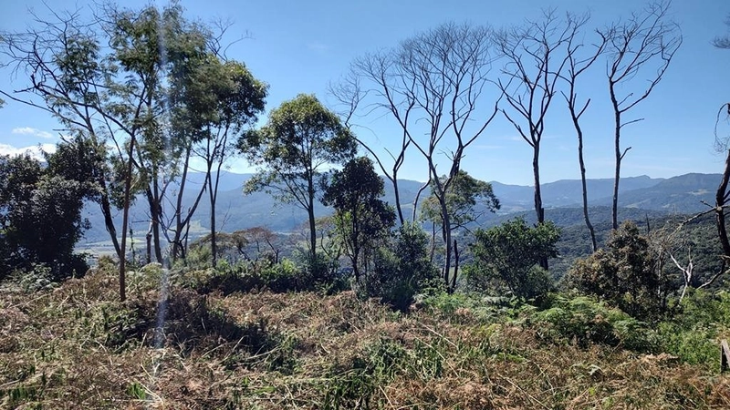 Terreno de Altitude: 15ª foto da galeria de imagens do imóvel