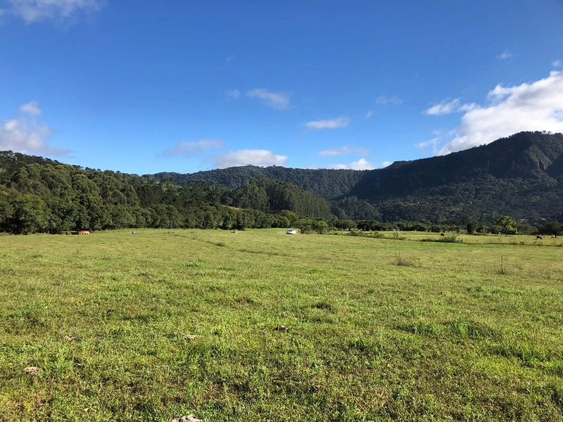 Terreno Plano cm Rio: 7ª foto da galeria de imagens do imóvel