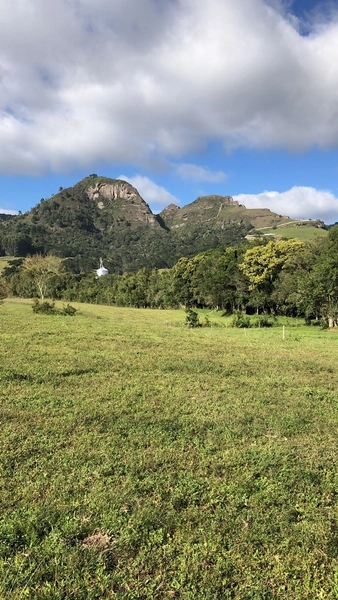 Terreno Plano cm Rio: 4ª foto da galeria de imagens do imóvel