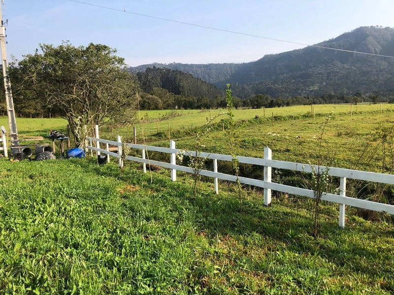 Terreno Plano cm Rio: 5ª foto da galeria de imagens do imóvel