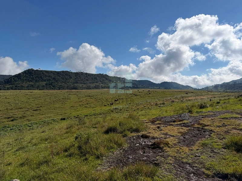 Terreno Urubici: 12ª foto da galeria de imagens do imóvel