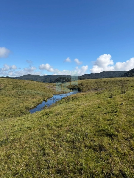 Terreno Urubici: 14ª foto da galeria de imagens do imóvel