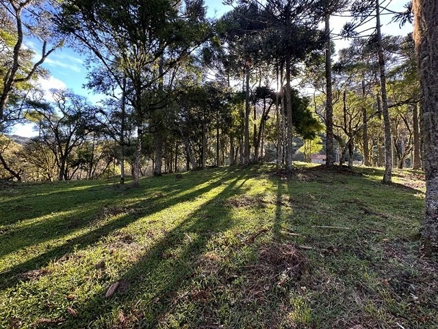 Terreno ao lado da cidade: 15ª foto da galeria de imagens do imóvel