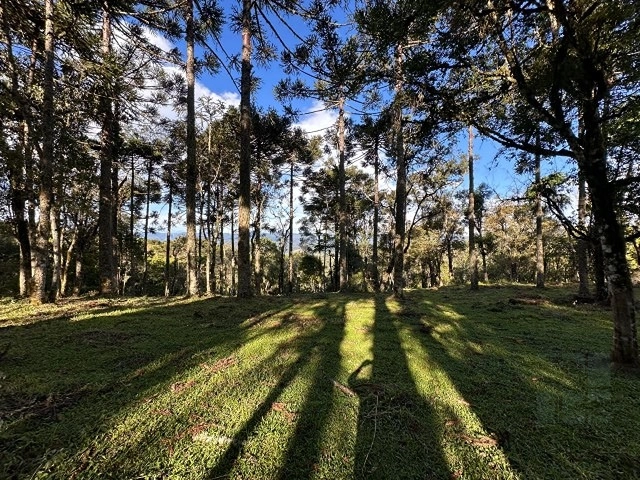 Terreno ao lado da cidade: 2ª foto da galeria de imagens do imóvel