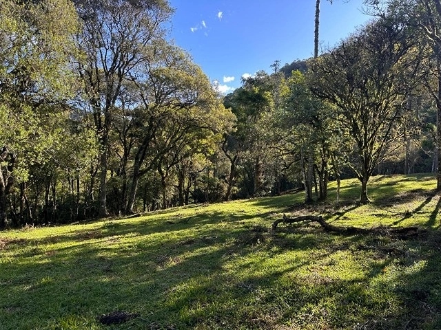 Terreno ao lado da cidade: 10ª foto da galeria de imagens do imóvel