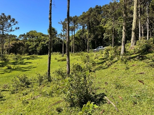 Terreno ao lado da cidade: 11ª foto da galeria de imagens do imóvel