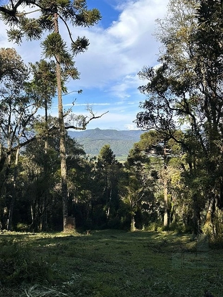 Terreno ao lado da cidade: 18ª foto da galeria de imagens do imóvel