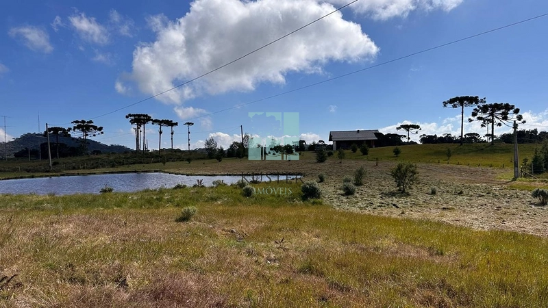 Morro da Igreja: 27ª foto da galeria de imagens do imóvel
