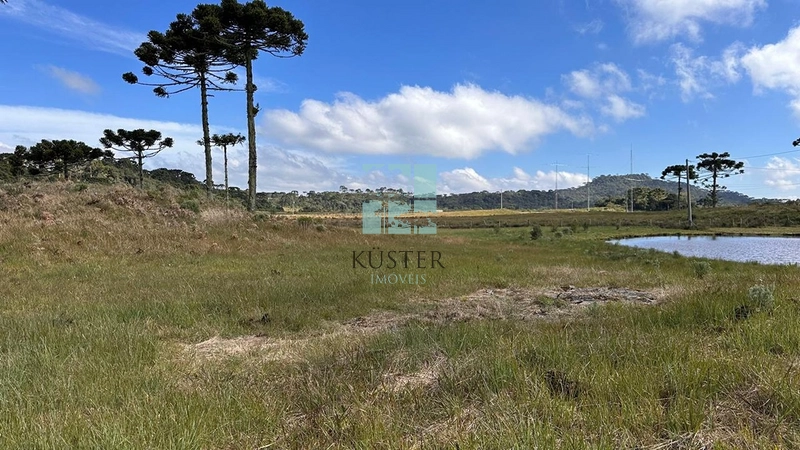 Morro da Igreja: 23ª foto da galeria de imagens do imóvel