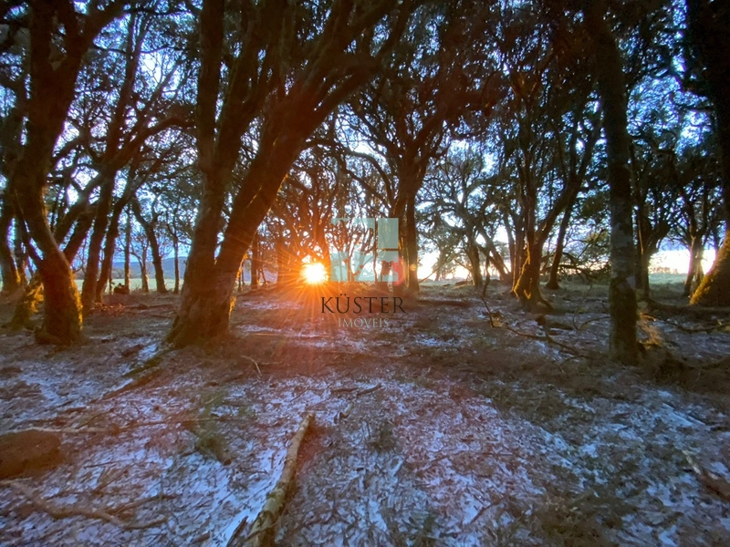 Terreno com mar de nuvens: 9ª foto da galeria de imagens do imóvel