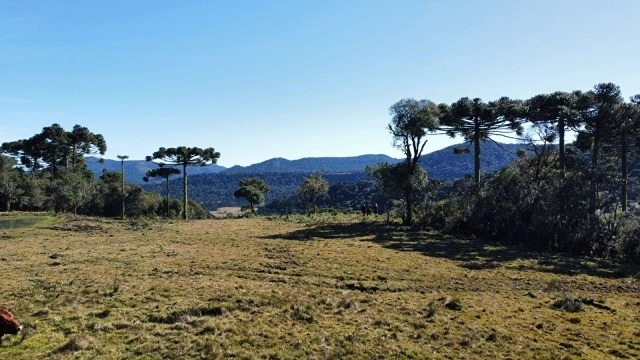 Terreno de Altitude: 2ª foto da galeria de imagens do imóvel