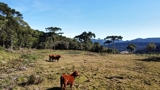Terreno de Altitude: 5ª foto da galeria de imagens do imóvel