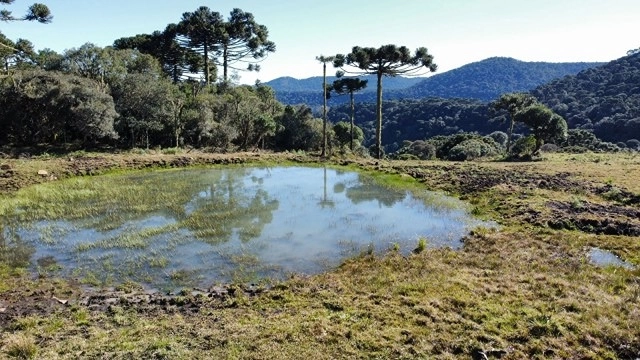 Terreno de Altitude: 3ª foto da galeria de imagens do imóvel