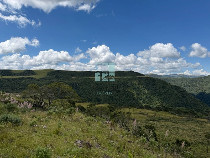 null: 4ª foto da galeria de imagens do imóvel