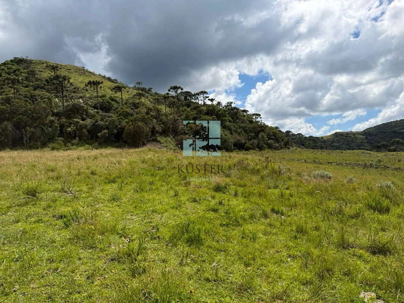 null: 14ª foto da galeria de imagens do imóvel