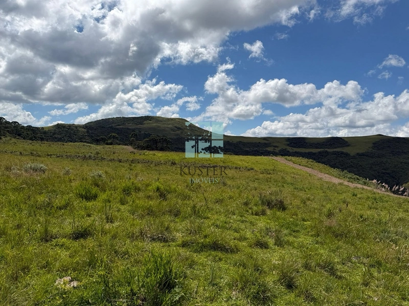 null: 15ª foto da galeria de imagens do imóvel