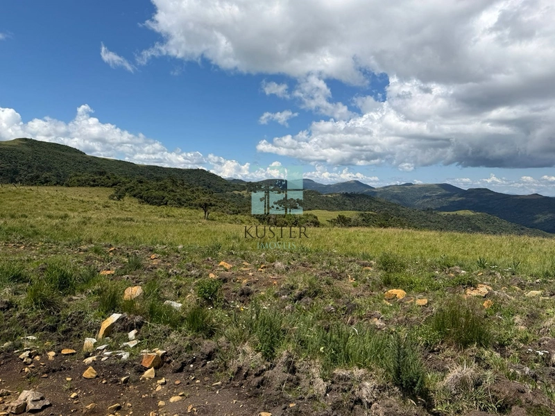 null: 11ª foto da galeria de imagens do imóvel