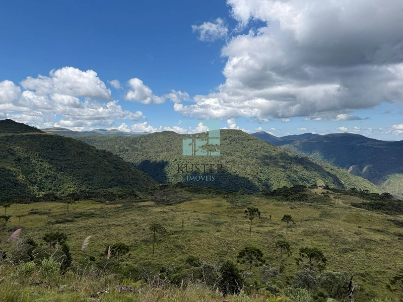 null: 12ª foto da galeria de imagens do imóvel