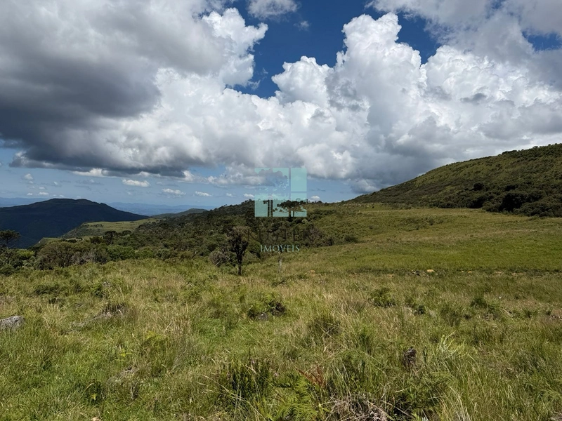 null: 13ª foto da galeria de imagens do imóvel