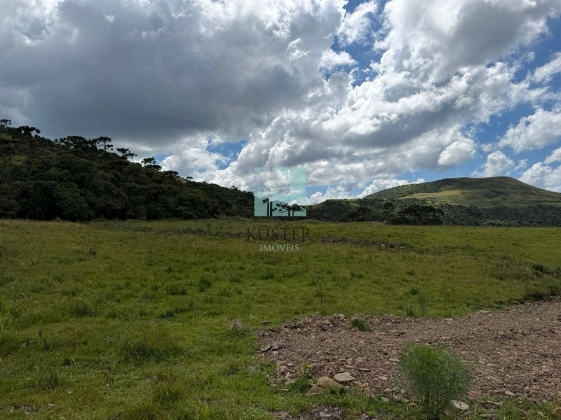 null: 7ª foto da galeria de imagens do imóvel