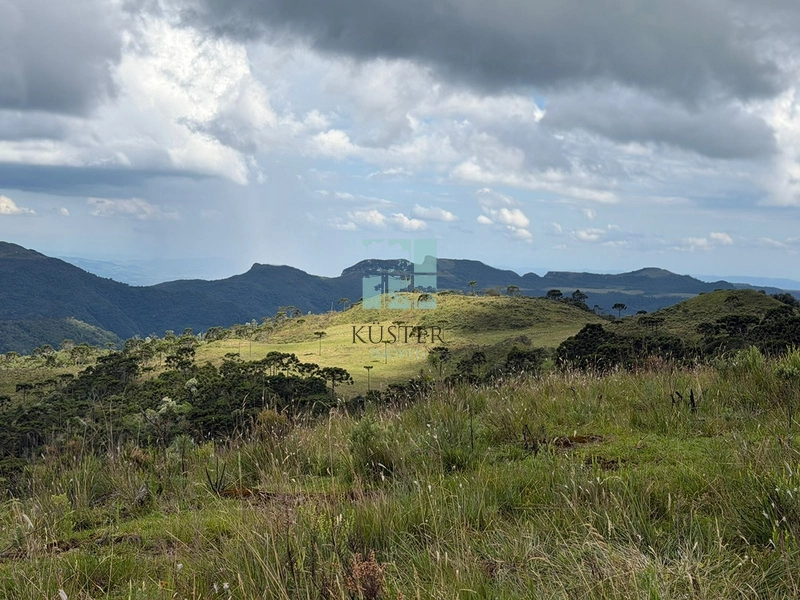 null: 10ª foto da galeria de imagens do imóvel