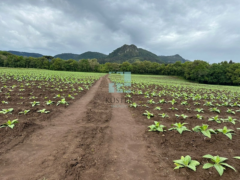 Terreno na SC-370: 7ª foto da galeria de imagens do imóvel