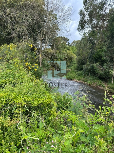 Terreno na SC-370: 13ª foto da galeria de imagens do imóvel