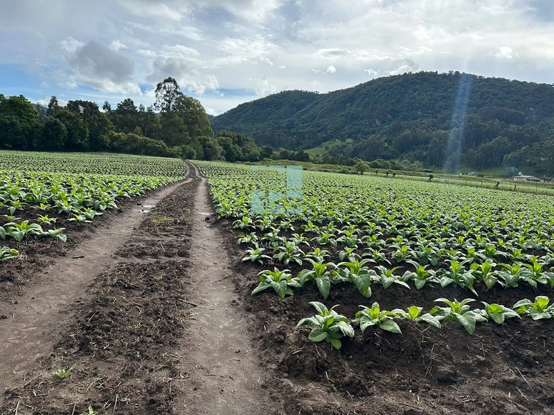 Terreno na SC-370: 10ª foto da galeria de imagens do imóvel