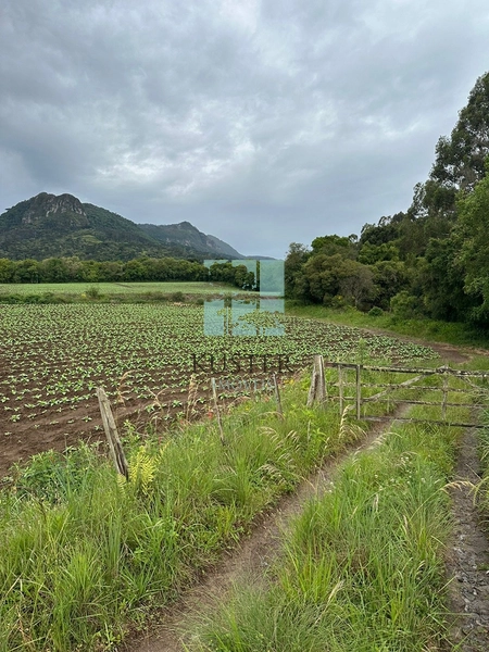 Terreno na SC-370: 11ª foto da galeria de imagens do imóvel