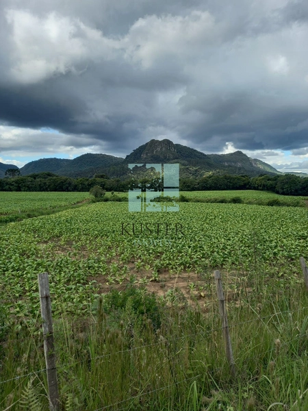 Terreno na SC-370: 2ª foto da galeria de imagens do imóvel