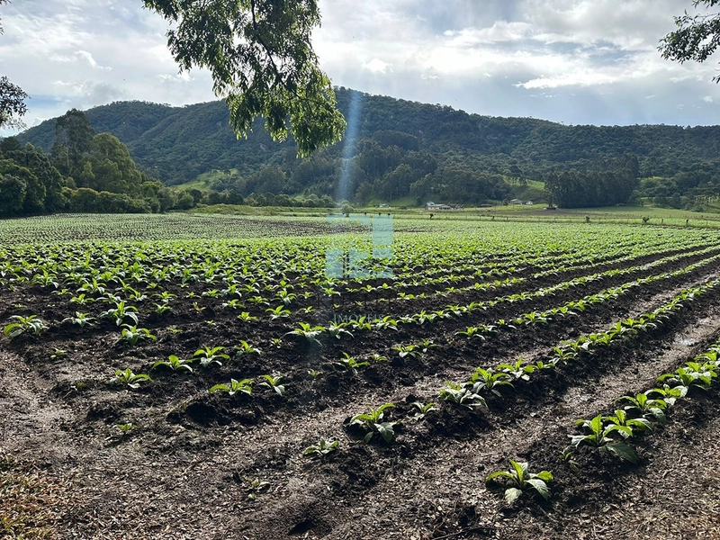 Terreno na SC-370: 9ª foto da galeria de imagens do imóvel
