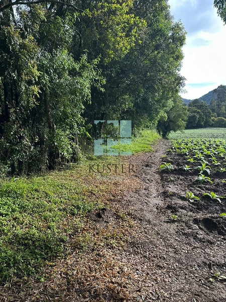 Terreno na SC-370: 6ª foto da galeria de imagens do imóvel