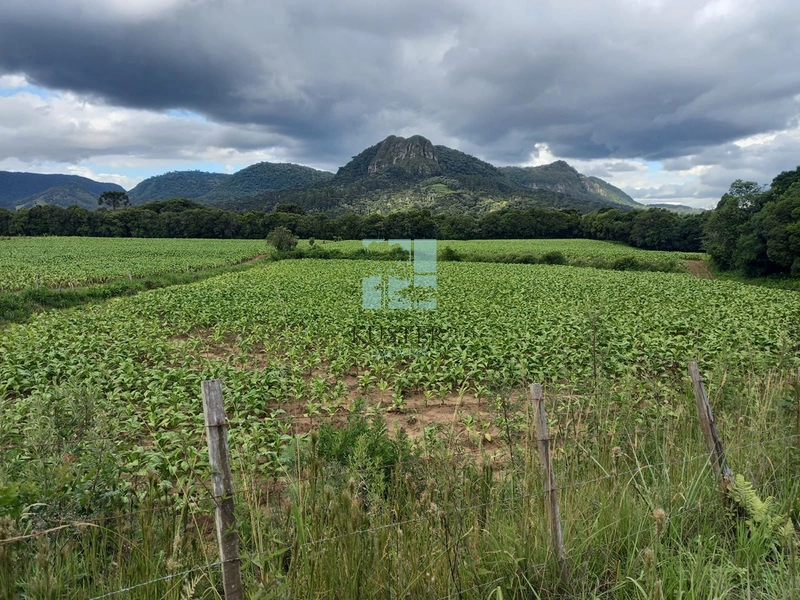 Terreno na SC-370: 1ª foto da galeria de imagens do imóvel