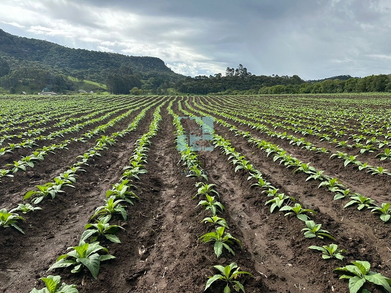 Terreno na SC-370: 4ª foto da galeria de imagens do imóvel