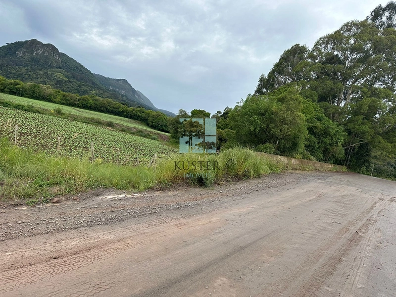 Terreno na SC-370: 12ª foto da galeria de imagens do imóvel
