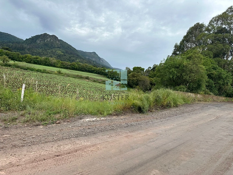 Terreno na SC-370: 5ª foto da galeria de imagens do imóvel
