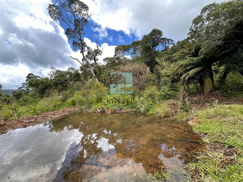 Terreno com Grande Potencial: 18ª foto da galeria de imagens do imóvel