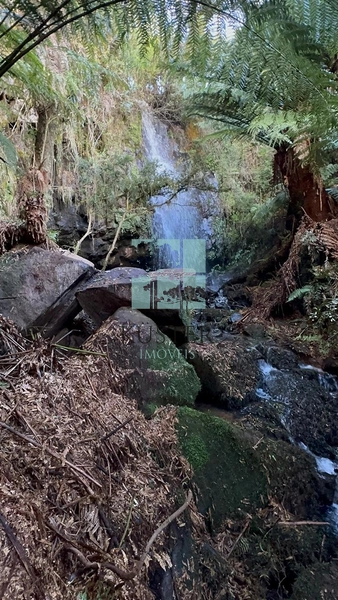 Terreno com Grande Potencial: 6ª foto da galeria de imagens do imóvel
