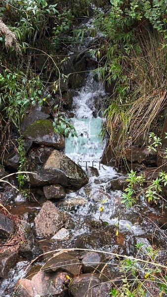 Terreno com Grande Potencial: 9ª foto da galeria de imagens do imóvel