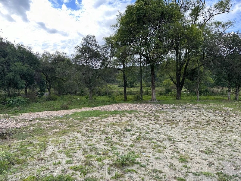 Lote: 5ª foto da galeria de imagens do imóvel