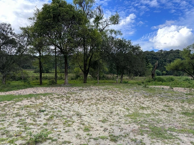 Lote: 10ª foto da galeria de imagens do imóvel