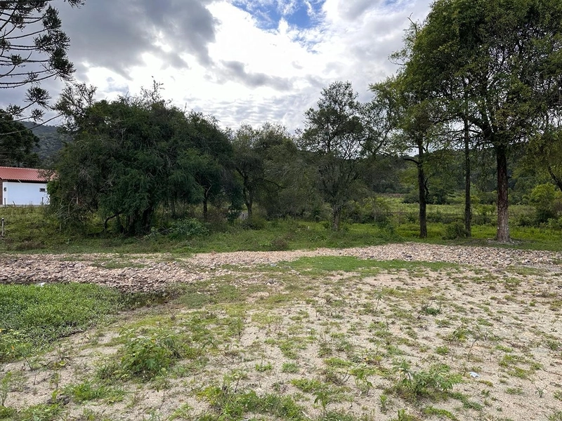 Lote: 6ª foto da galeria de imagens do imóvel