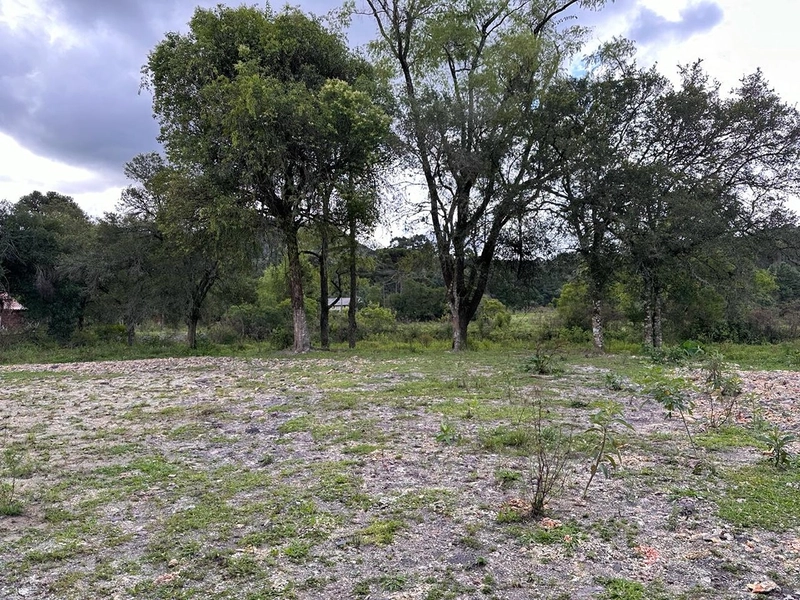 Lote: 8ª foto da galeria de imagens do imóvel